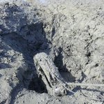 생태계의 위협. 어촌 마을의 또다른 진실.. 6번째...