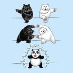 <b>팬더</b>탄생의기원