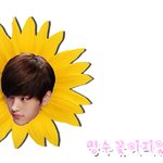 <b>밍</b>수꽃이피었슨니다>_<