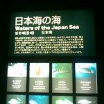 ★☆일본 <b>수학</b>여행 다녀왔는데☆★