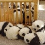 ■■(사진有)여러분 승리를 찾아보아요ㅋㅋ■■