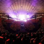 ★팬덤들특징★