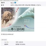<b>디시</b>의 일상