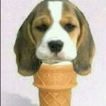 !! 개콘티켓이 20장생겻슴니다 !! ( ★★인증샷 有<b>재석</b>★★)