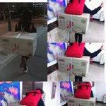 ☆★☆★☆태권도 체육관에 별난이야기☆★☆★(사진,동영상 있음)