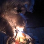 ◆◇[사진많음]귀염+시크+코믹한 두부(2탄)◇◆