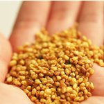 구수한 곡물차.<b>메밀</b>차의 효능