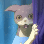 <b>ss</b> 보고 흥분한 고양이