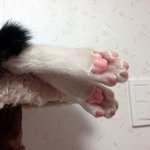 등골브레이커 두 <b>말썽</b>꾸러기 형제 ㅋㅋ