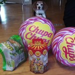 19금(사진有개<b>브라</b>)