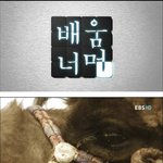 미<b>낙타</b>의눈물