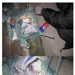 우리나라 <b>애완견</b> 키우는 사람들 中