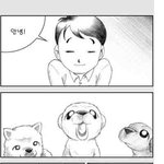※※강아지 키우시면 보세요※※