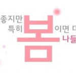 넘 이쁜 봄나들이 장소 추천해봅니다!