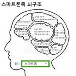 스마트폰<b>족</b> 뇌구조