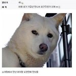 길지만<b>빵</b>터지는미친댓글61ㅋㅋㅋㅋㅋㅋㅋㅋㅋㅋㅋㅋㅋㅋㅋㅋㅋ