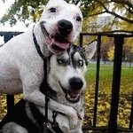 자동차관리,어~어렵지않아요!▶차량관리앱,BEST3★(사진有有)