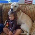 마음이 훈훈해지 우정, 아기와 <b>동물</b>들