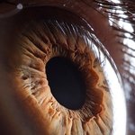 ★★★★★★눈 100배 <b>확대</b>한사진★★★★★★소름주의