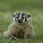 ◀◀◀◀<b>동물원</b>에서 겪은 충격적 사건▶▶▶▶