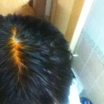 내친구 "눈썹"에 봄이왔어요[사진有]