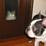 ★★헝거게임:판엠의불꽃★★판타지액션의새로운혁명입니다!!