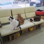 <b>이병</b>-일병-상병-병장-곧 제대