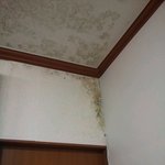 ( 사 진 有 ) 정말억울합니다..더이상못참겠어요