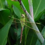 당하고만 사는 동생이야기!!!!!!!제 2탄!!!!!!!!!!잼씀...