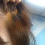 내친구 "눈썹"에 봄이왔어요(인증)