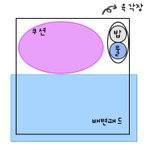 강아지 분양부터 육아까지 노하우?!