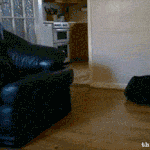 귀여운동물 <b>움짤들</b> + 웹툰 패션왕 <b>움짤들</b> ~