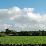 봄맞이 제주도여행 - 제주도<b>펜션</b> 필리스틴