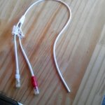 쿨한 백혈병환자의 봄, 그리고 근황