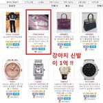 강아지 신발이 1억 ???!!! 진짜?가짜?