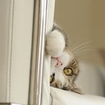 ♬♬♬♬♬자식같은 동생들과 팡팡터지는얘기 ^-------^ !!♬♬♬♬