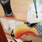 기네스맥주새..페리카나라고 했다가 팀점심때 <b>부끄</b>했어요 >.<