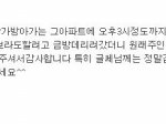 빨간가방 강아지 <b>주인</b>을 찾습니다 [후기]