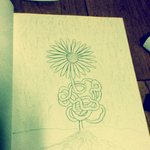 ★☆ho.형의 작사 평가좀요ㅎ사진있습니다.★☆★☆★☆