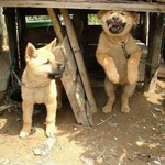 ★★엄청난 만우절 스킬 모음★★