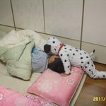 잘때라도 그의 <b>체취</b>를 느끼고 싶다...