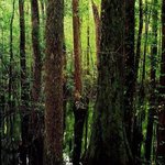 숨은<b>병사</b>찾기