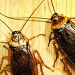 ★★   <b>gd</b> &amp; top  ★★