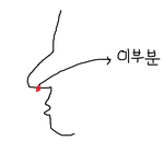 사진有) 재채기 안나오는 확실한법 (재채기소리이상한사람 필독 사진有)