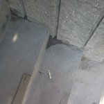 사람뼈를 발견했어요............(사진有느님존경해요)