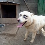 ★★★송승헌도 울고 갈 눈썹!!(사진 有느님 무<b>도보</b>고파요ㅠ)★★★