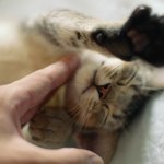 만우절후기)★★★★★한번만보세요진짜후회안함★★★★★