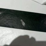 대구 <b>베니</b>건스에서 나온 이물질입니다...