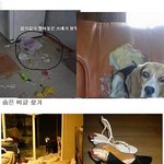 길지만<b>빵</b>터지는미친댓글69ㅋㅋㅋㅋㅋㅋㅋㅋㅋㅋㅋㅋㅋㅋㅋㅋㅋ