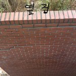 저희집 고양이가 <b>창문</b>을 넘어다녀요